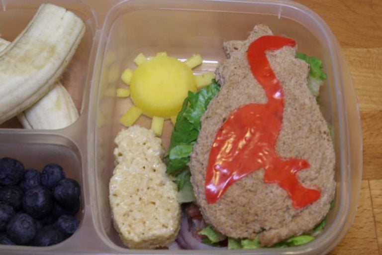 A Fun Back To School Bento Lunch Idea!