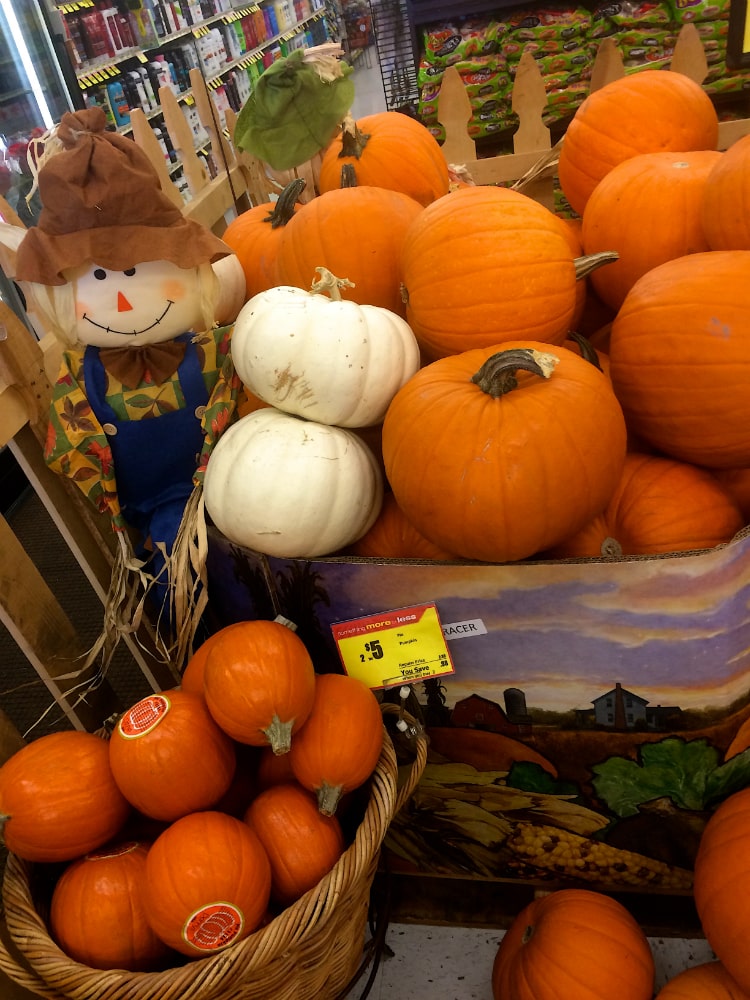 albertsons pumpkins
