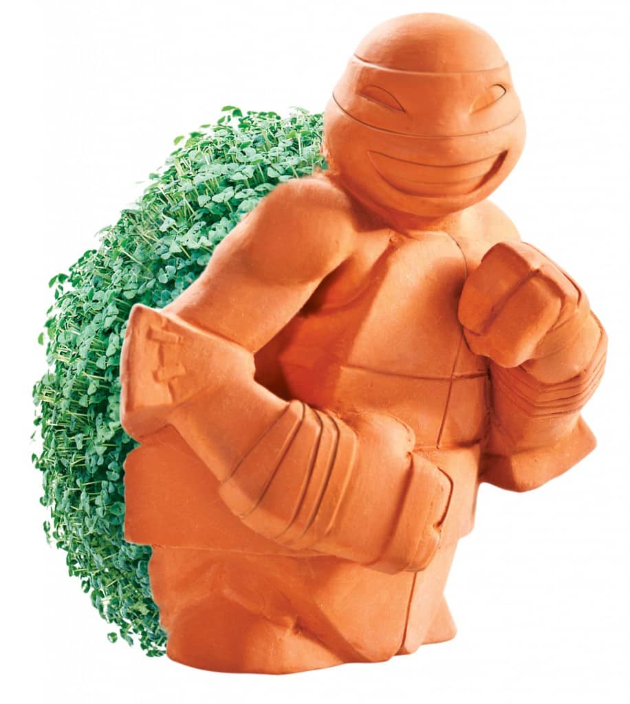 _images_products_homedecor_TMNT_Chia_1