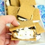 Our Hershey’s S’mores Family Summer Tradition!