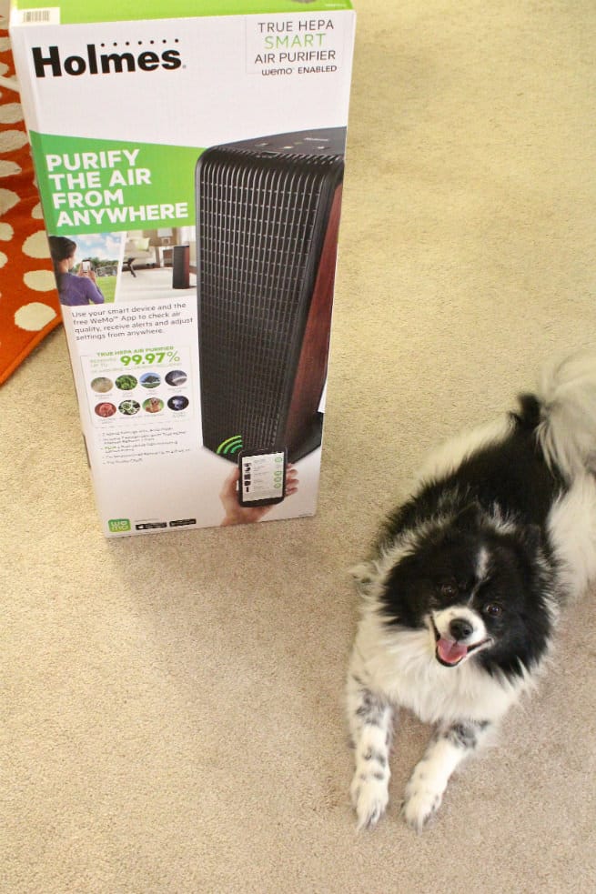 Holmes® Smart Air Purifier with WeMo-1