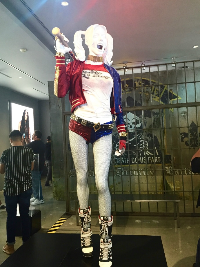 Harley Quinn Costume 1