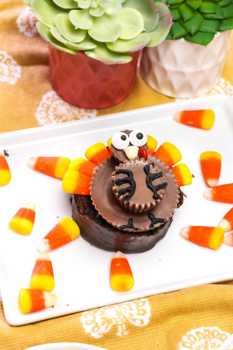 Mini Turkey Cake Treats!