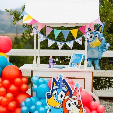 Bluey Birthday Party