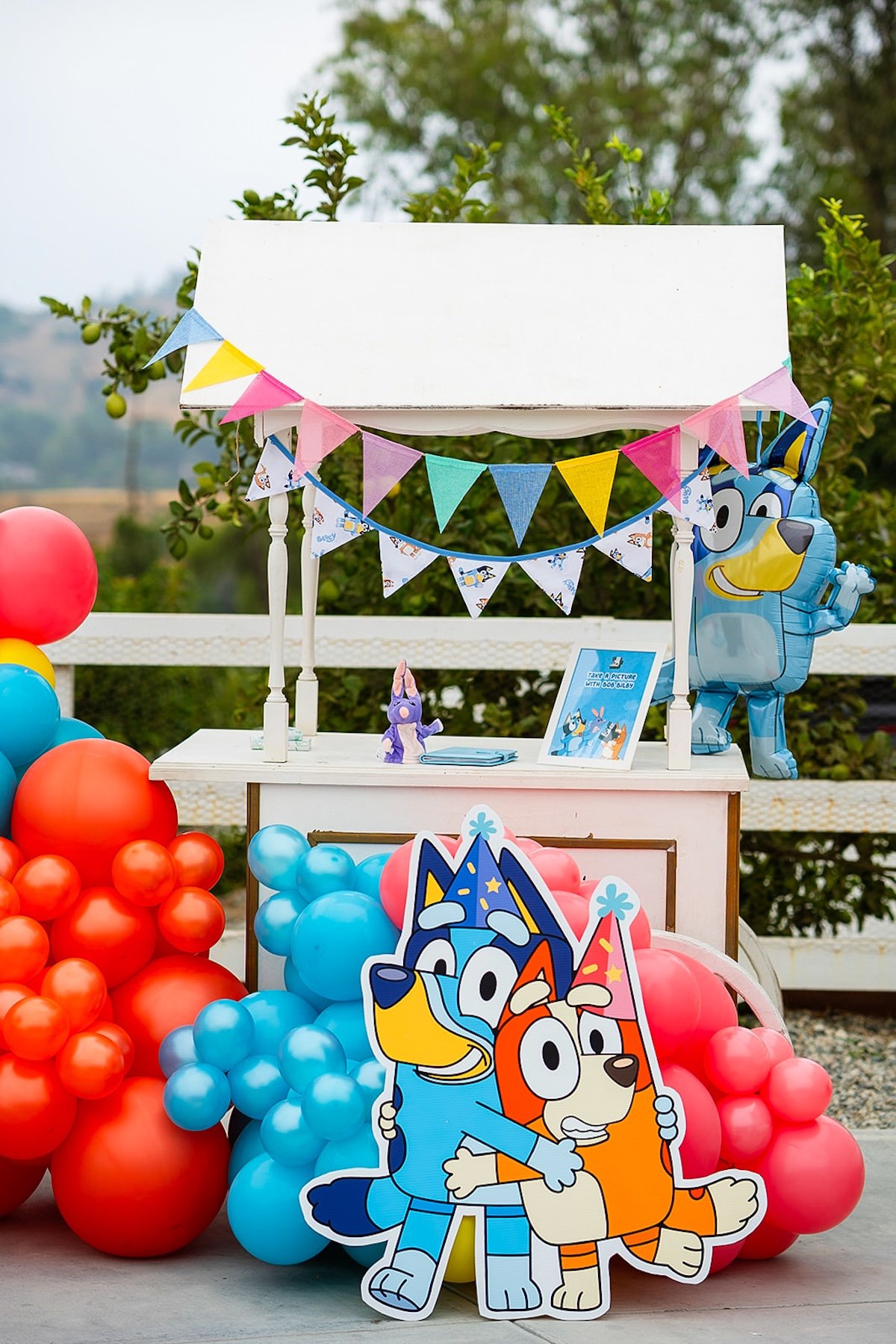 Bluey Birthday Party